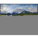 DELL 54,61cm/21,5'' (1920x1080) Dell-P2222H 16:9 5ms IPS DisplayPort VGA HDMI 4x
