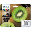 Epson Expression