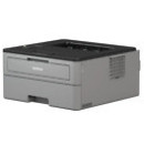 Brother HL-L2350DW stampante laser 2400 x 600 DPI A4 Wi-Fi - HLL2350DWG1